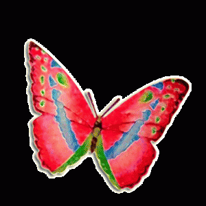 papillon2
